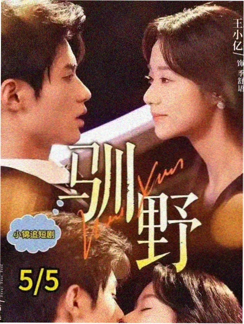 剧集雾港档案海报预览